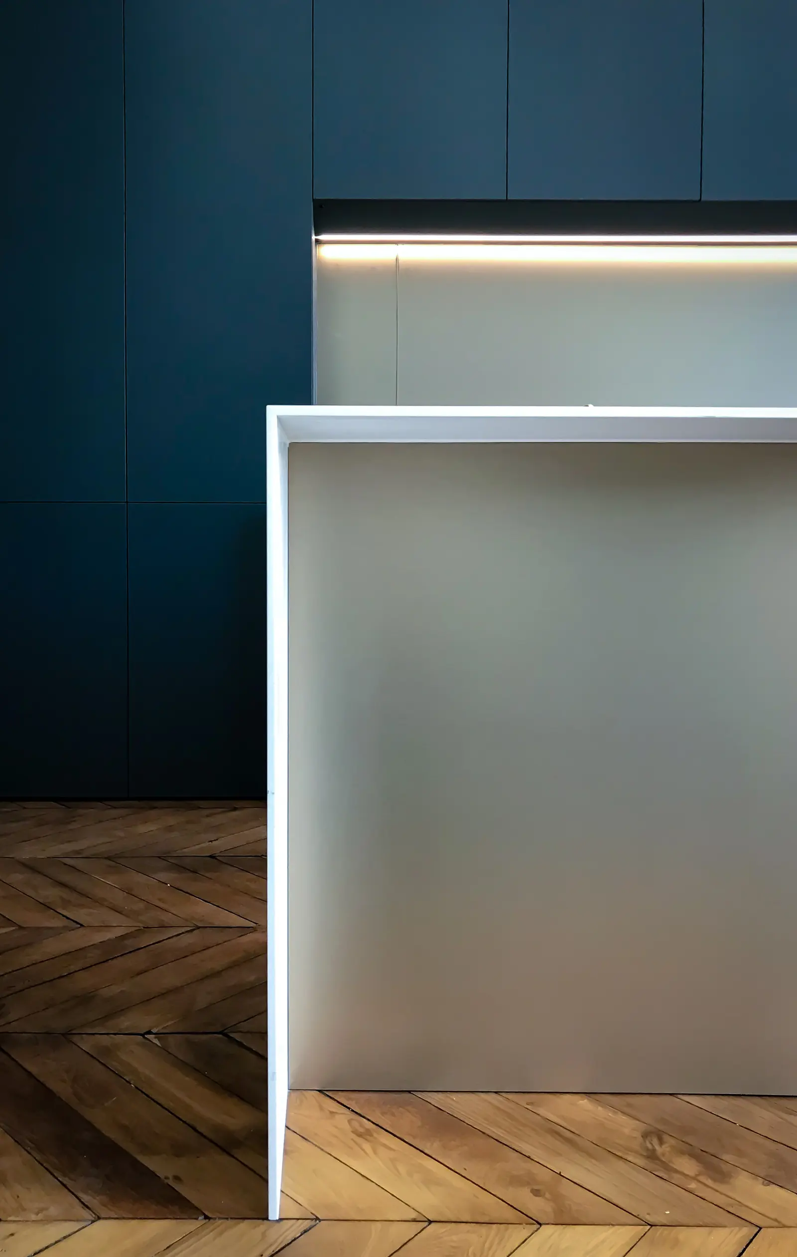 Pièce de vie de l'appartement canut rénové, cheminée et parquet d'origine