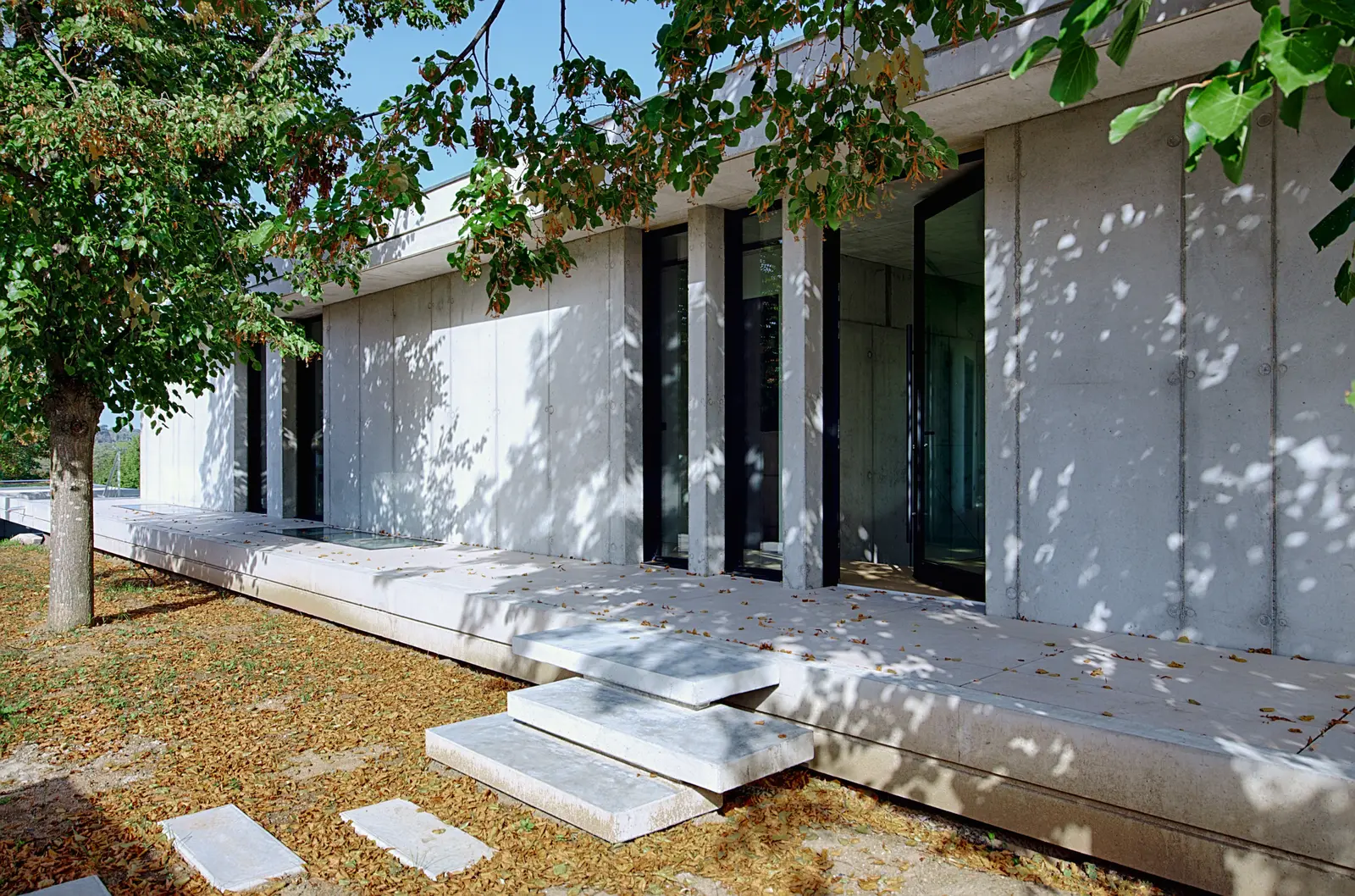 Façade en béton banché sous les tilleuls, terrasse en pierre de la maison de Tassin